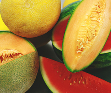 Fresh Produce Melons